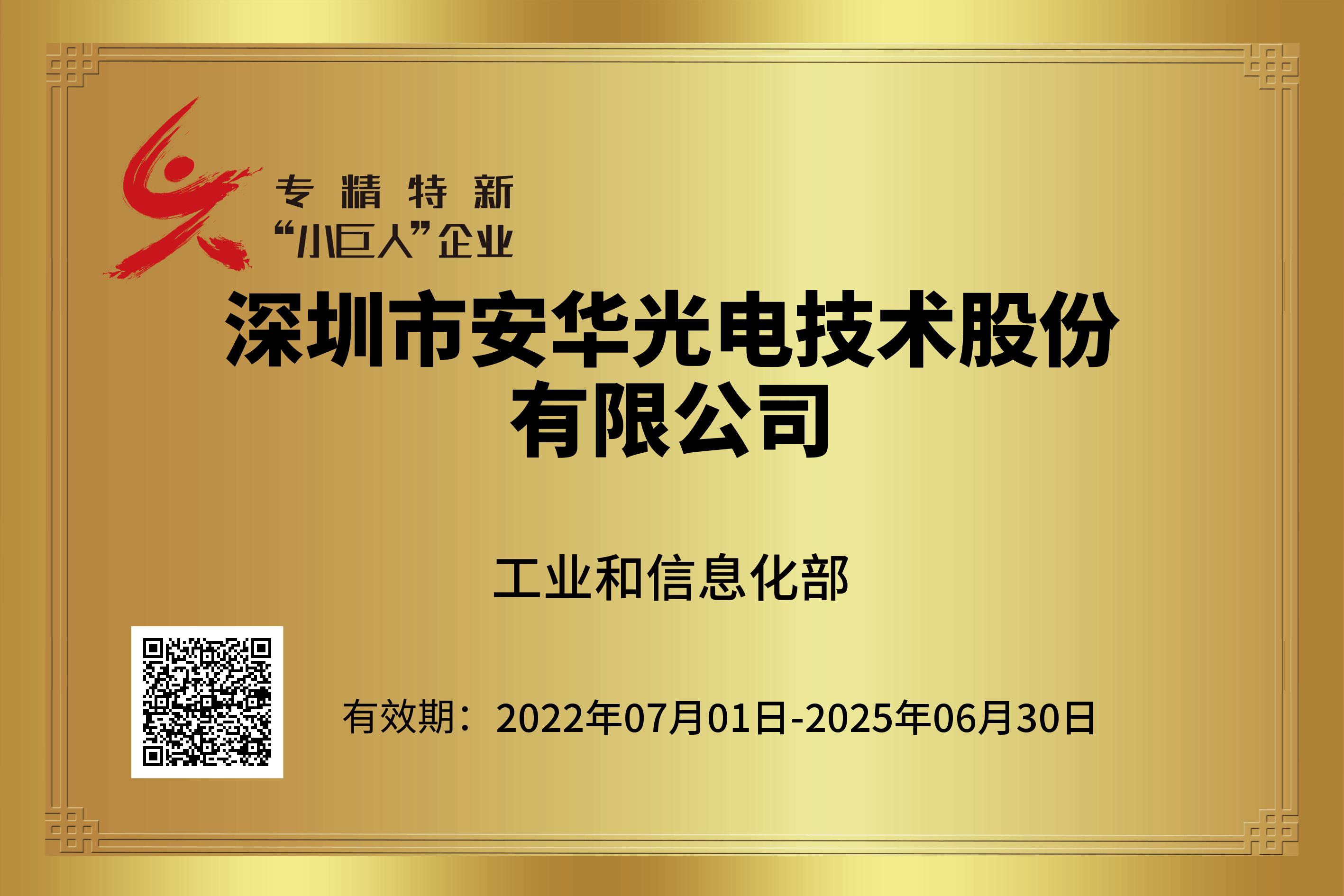 國家級專精特新小巨人